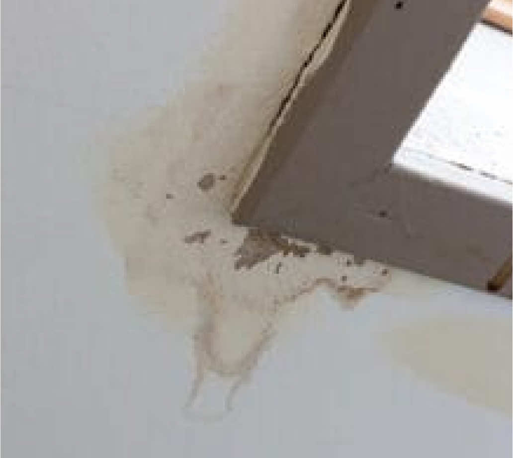 Water damage visibly affecting the paint and structure near a window.